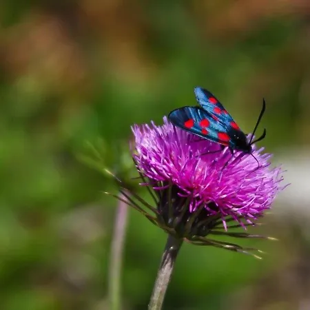 Cosy 4 Pers. Avec Loggia, Parking Et équipement Complet, à Deux Pas Du Centre De - Fr-1-401-78 Apartamento Cauterets