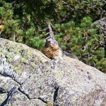 Appartement Cauterets, 1 Pièce, 4 Personnes - Fr-1-401-78 Cauterets