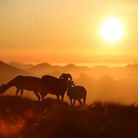 Cauterets, 1 Pièce, 4 Personnes - Fr-1-401-78 * Cauterets