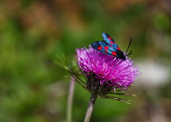 Cosy 4 Pers. Avec Loggia, Parking Et Equipement Complet, A Deux Pas Du Centre De - Fr-1-401-78 아파트 코트레