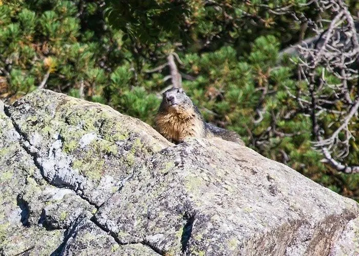 아파트 Cosy 4 Pers. Avec Loggia, Parking Et Equipement Complet, A Deux Pas Du Centre De - Fr-1-401-78 코트레