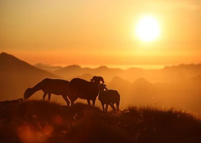 Cosy 4 Pers. Avec Loggia, Parking Et Equipement Complet, A Deux Pas Du Centre De - Fr-1-401-78 * 코트레